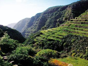 Exotique Gomera