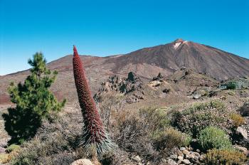 Exotique Gomera