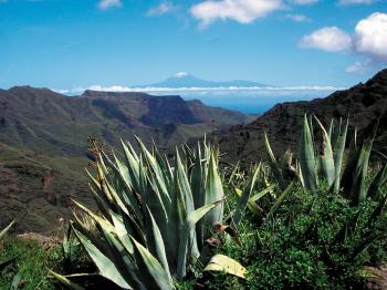 Exotique Gomera