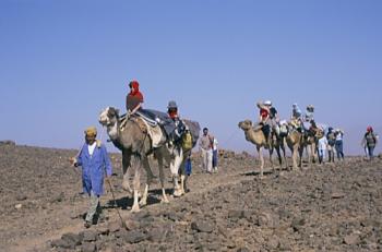 Les petits caravaniers