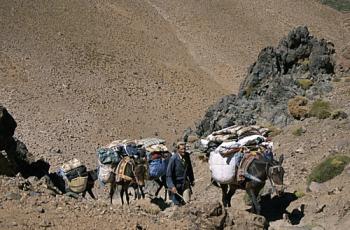 Objectif Toubkal 