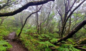 Madère par les crêtes