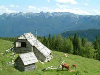 Paradis Slovène Paradis Slovène
