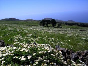 La Palma