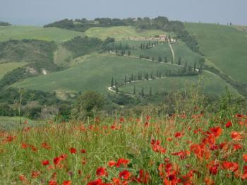 La Toscane à vélo