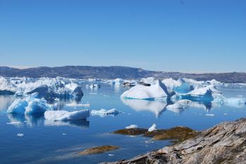 Groenland du Sud : icebergs et glaciers