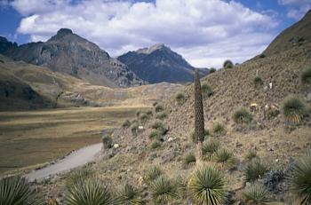 Le trek de la Cordillère Blanche