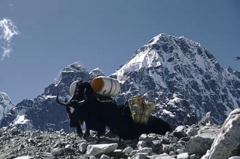 L'Island Peak (6189m)