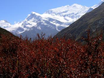 Balcons des Annapurnas