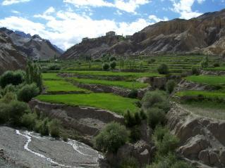 Le Pays Ladakhi