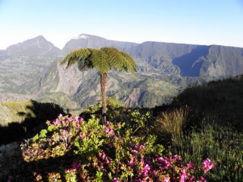 L'Eden Volcanique