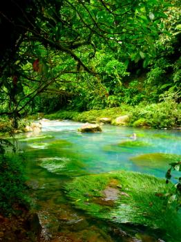 Au Pays du Guanacaste