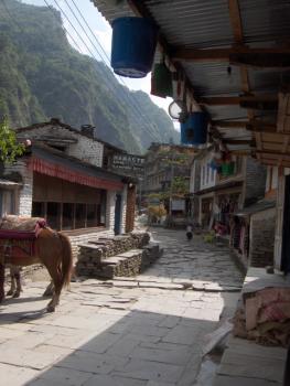 Entre Dolpo et Mustang