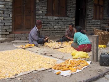 Entre Dolpo et Mustang