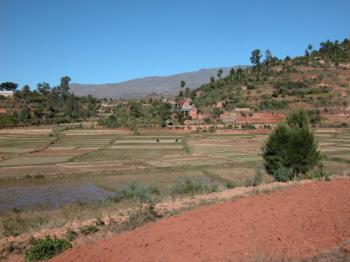 Balade en Pays Malgache