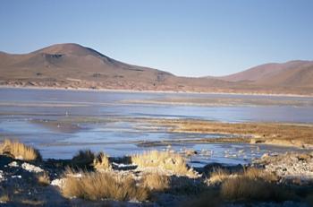 Atacama, entre Salars et Volcans