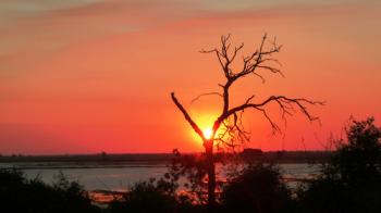 Le Delta de l'Okavango