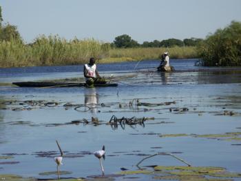 Le Delta de l'Okavango