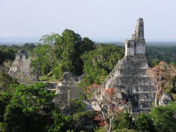 Immersion en Terres Mayas