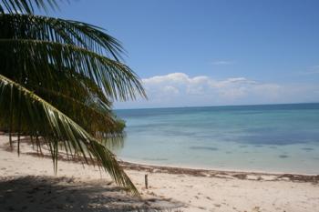 La perle des Caraibes