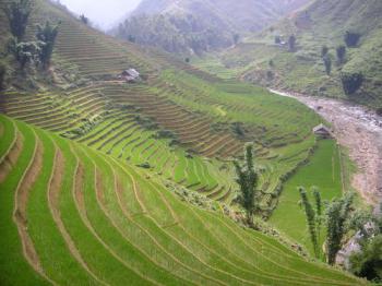 Toute l'Indochine (Laos, Cambodge, Vietnam)