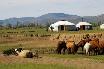 Grand Trek du Khangai et Désert du Gobi