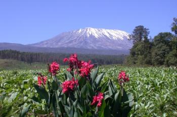 Traversée du Kilimandjaro par la voie Rongaï 