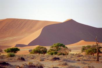 Le tour de la Namibie