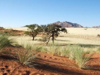 Le tour de la Namibie