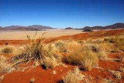 Les essentiels de la Namibie