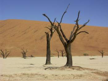 Les essentiels de la Namibie