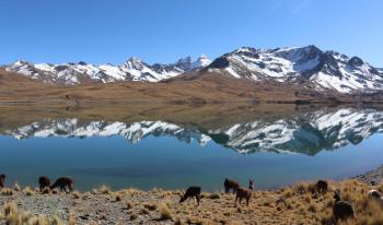 Sud Lipez et Atacama