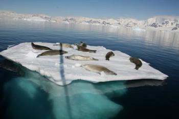 Voyage aux confins de l'Antarctique