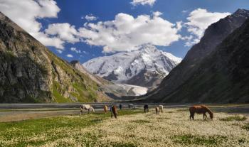 Grand trek dans les monts Célestes