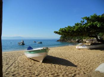 Le Paradis vert Le Paradis vert