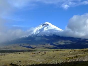 Randonnée en Equateur et Galapagos