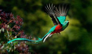 Le grand tour du Costa Rica