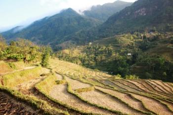 Flanerie au Vietnam