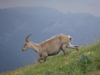 Le tour du Lac d'Annecy par les sommets