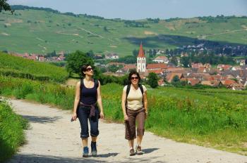 Ballons et vignobles Ballons et vignobles