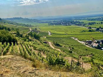 Ballons et vignobles Ballons et vignobles