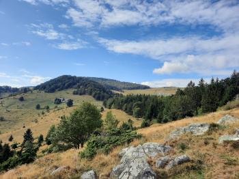Ballons et vignobles