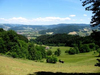 Le tour de la Haute Forêt Noire