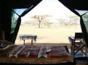 Safari Hakuna Matata