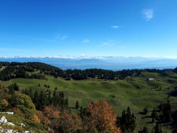 Les Hautes Combes du Jura