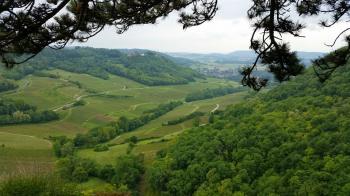 L'échappée jurassienne - Haut Jura