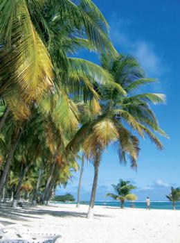 La Guadeloupe, l'île nature