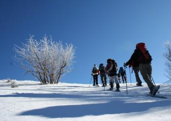 Nouvel An dans les Vosges