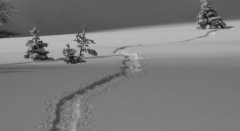 Nouvel An dans les Vosges