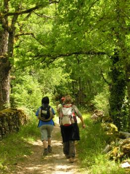 Compostelle : Cahors - Lectoure